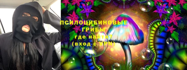 шишки Алзамай