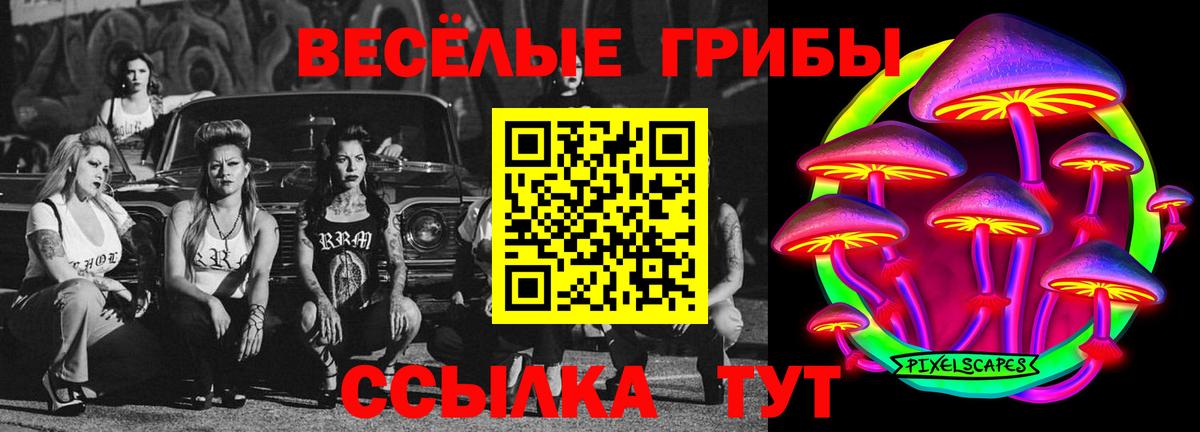 даркнет сайт  Псилоцибиновые грибы Cubensis  Вход с VPN  Елизово 