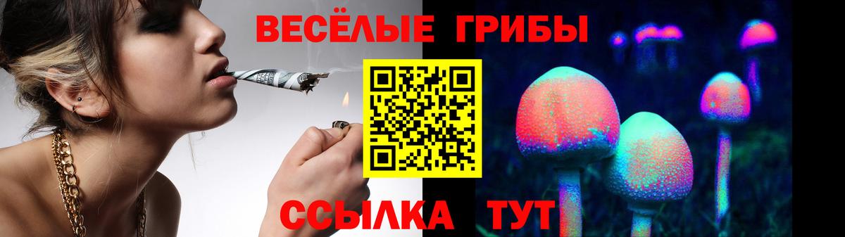 Псилоцибиновые грибы Cubensis Елизово