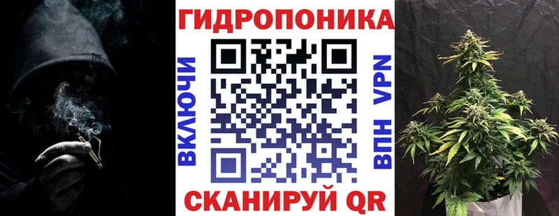 Бошки Шишки THC 21%  кракен маркетплейс  Елизово 